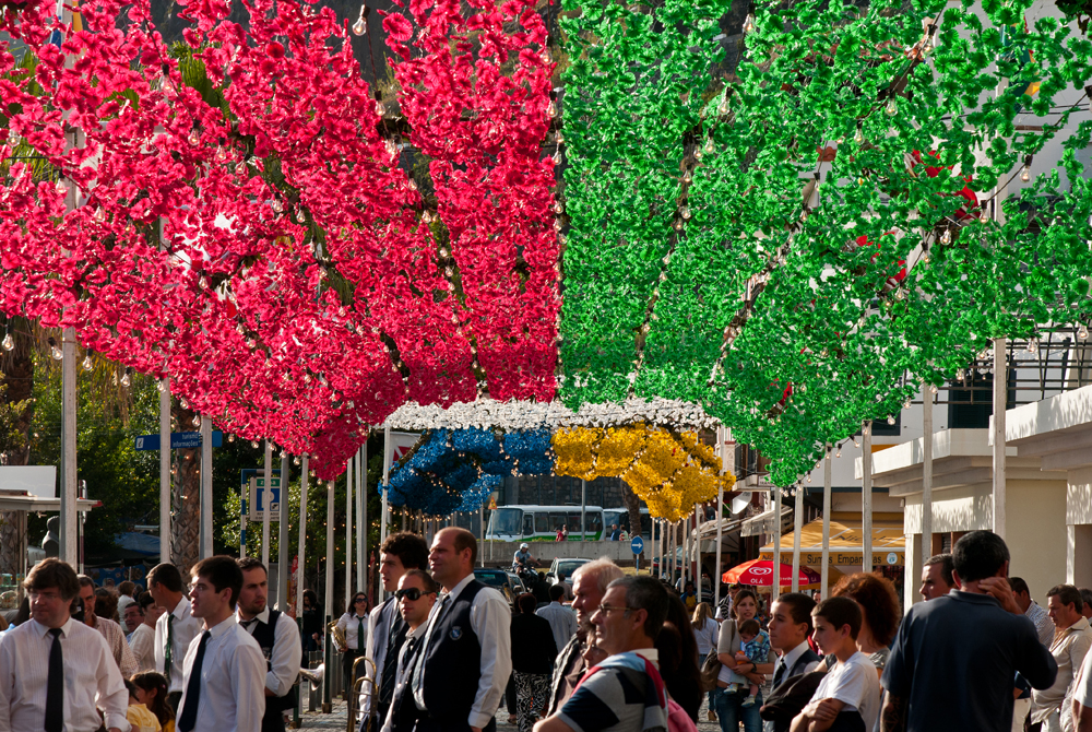 382_Madera_Ribeira Brava.jpg